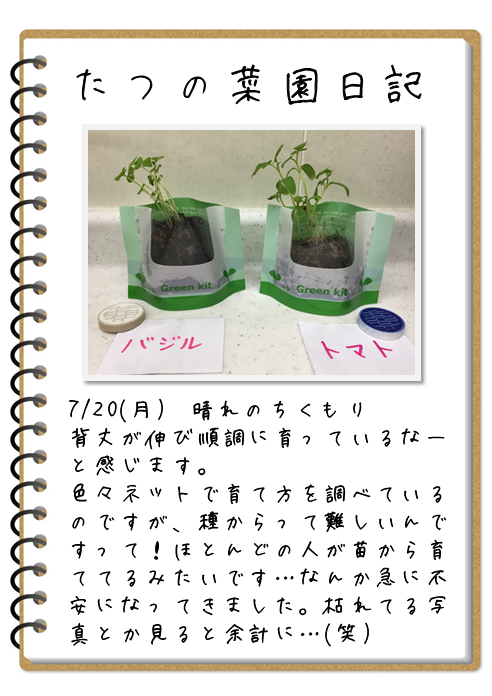 菜園日記