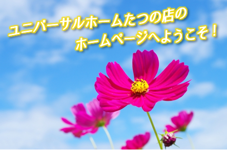9月TOP