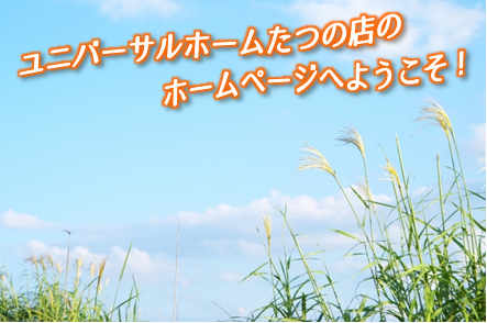 9月TOP