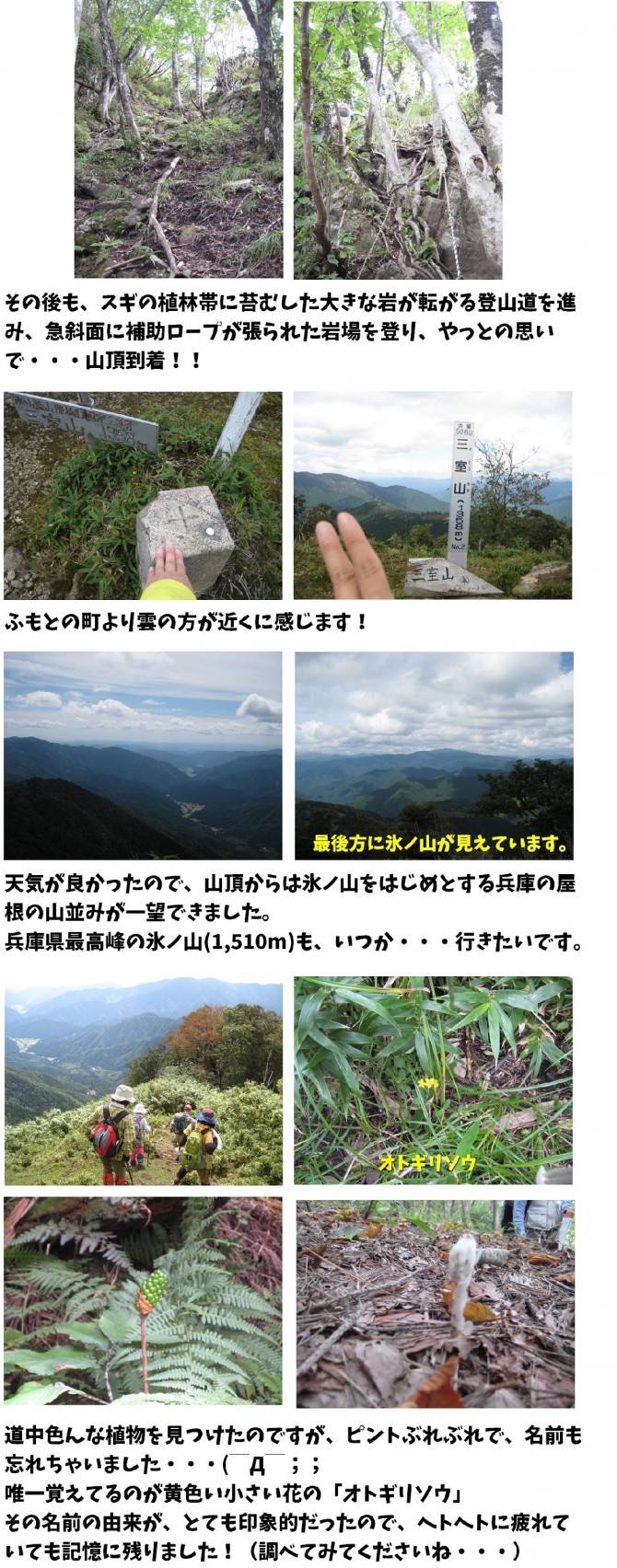 yama1'