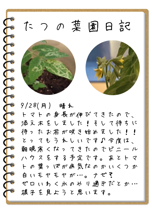 たつの菜園