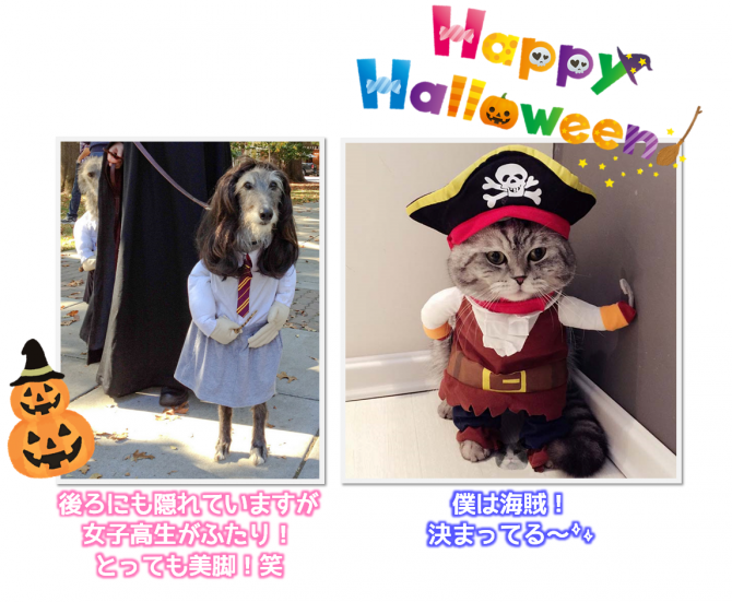 コスプレ☆