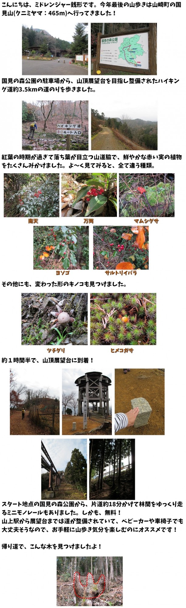 12.17緑
