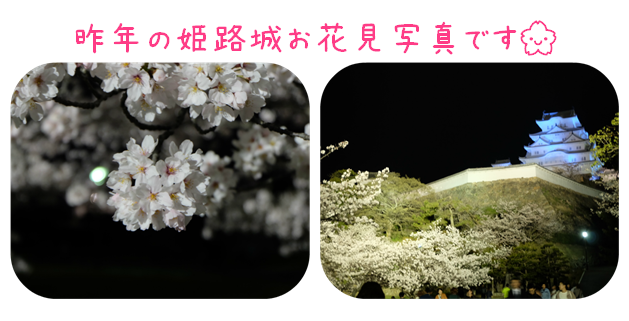 お花見