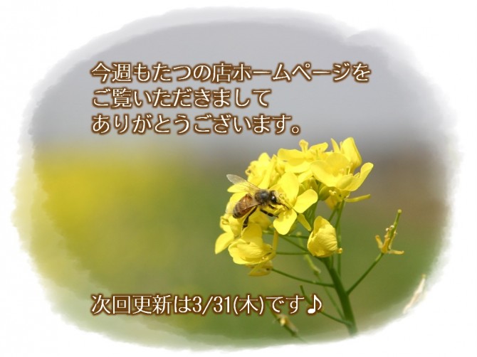予告