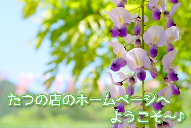 表紙5月