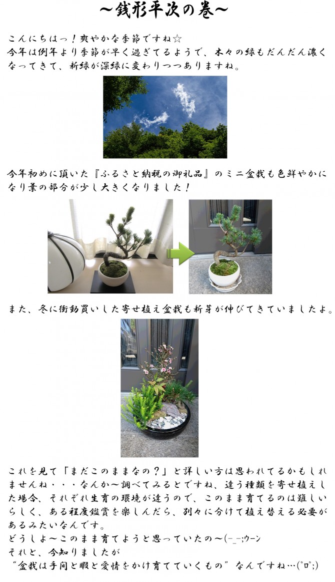 銭形
