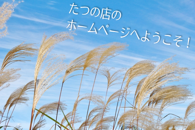 たつの店9月