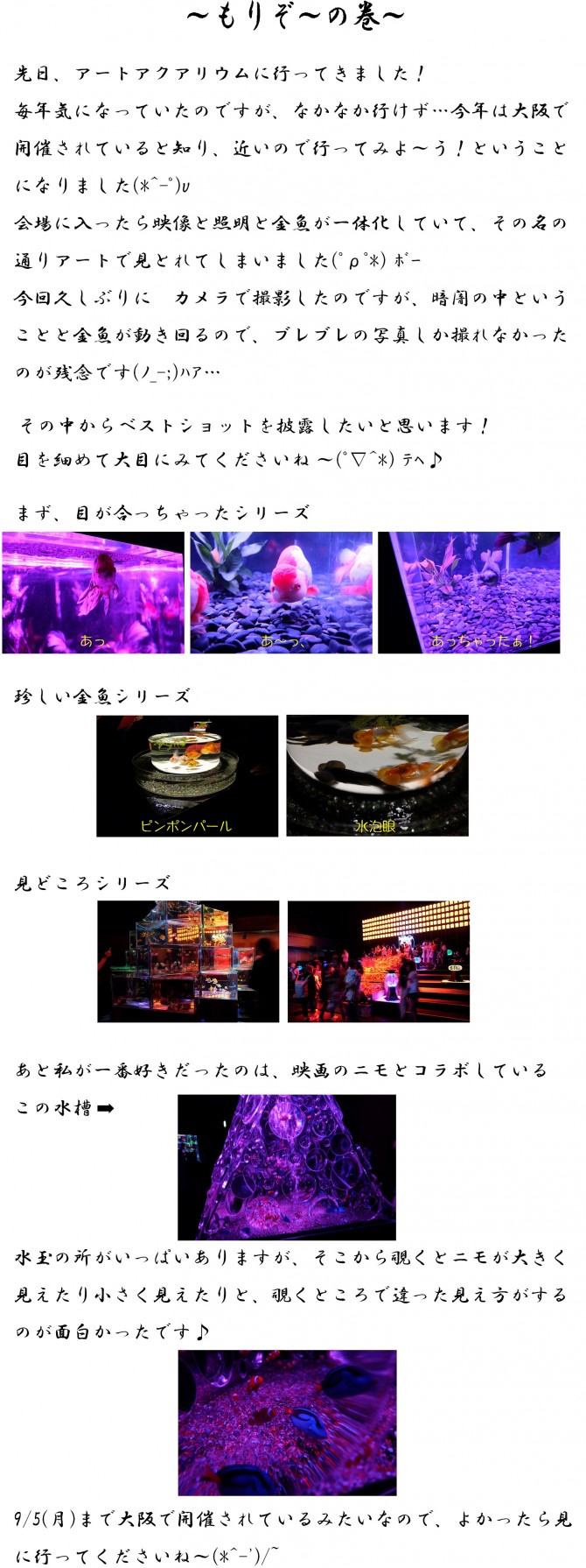 もりぞう