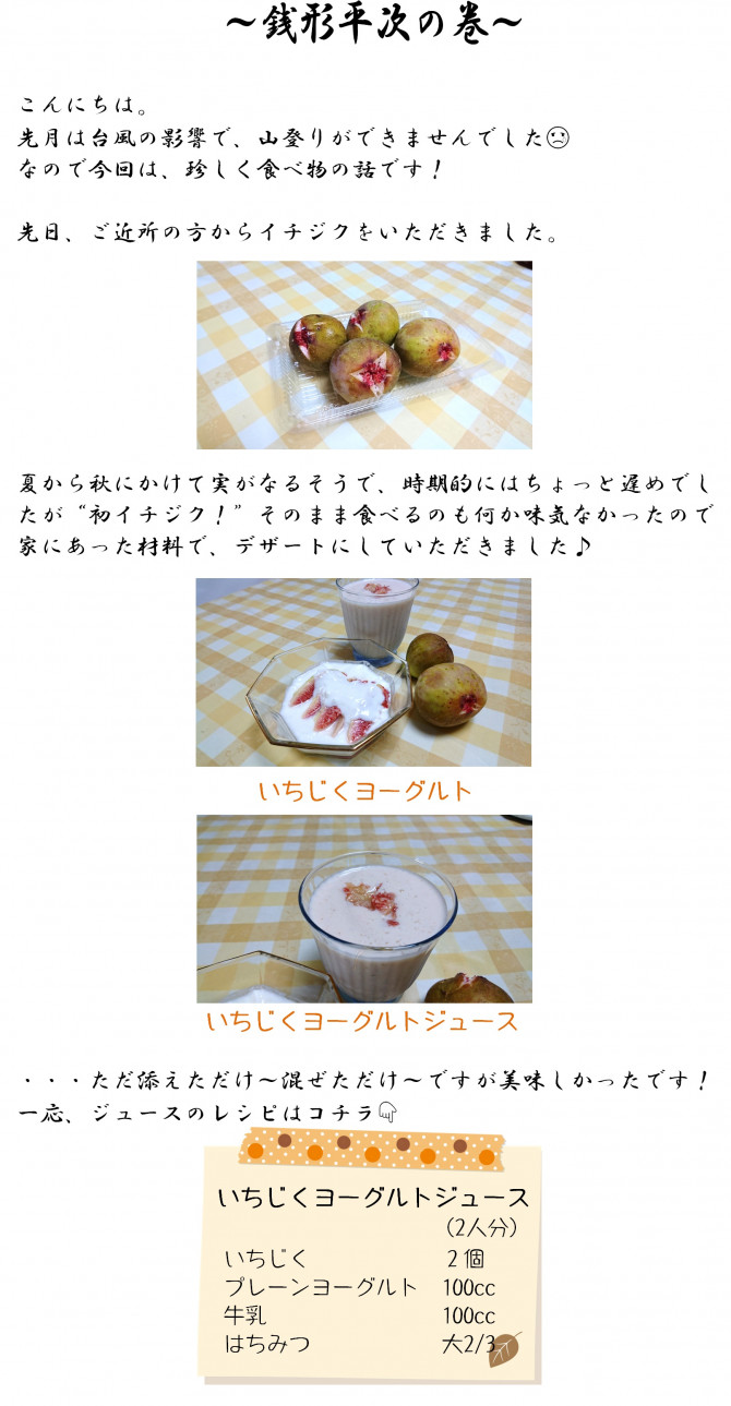 銭形10.6