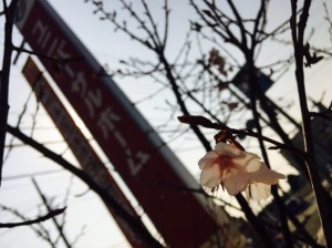 ら