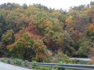 深まる紅葉