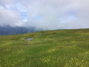 IMG_2565