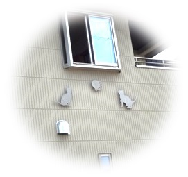 DSC00367