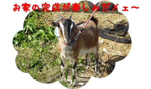 やぎ2