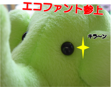 エコファント1