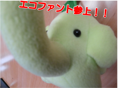 エコファント1