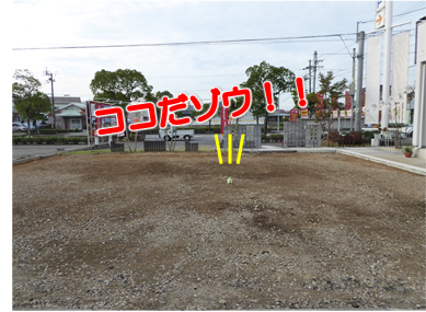 エコファント1