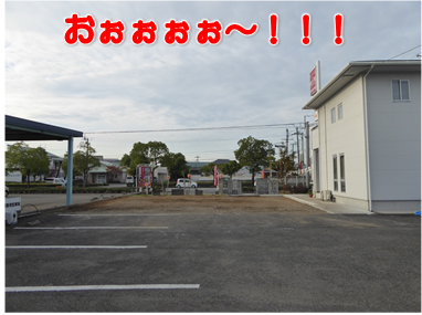 エコファント2