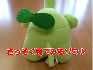 エコファント3