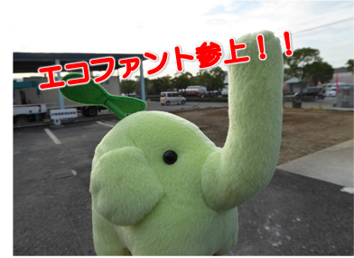 エコファント3