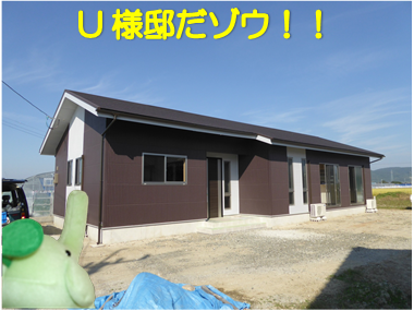 エコファント4
