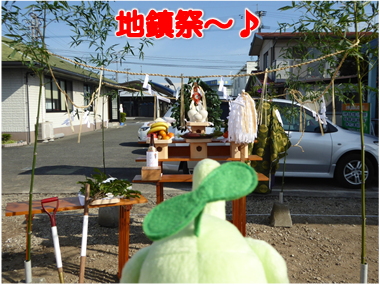 エコファント4