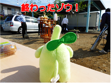 エコファント8