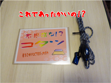 エコファント10