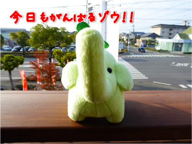 エコファント1