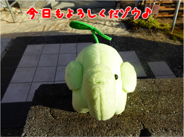 エコファント1