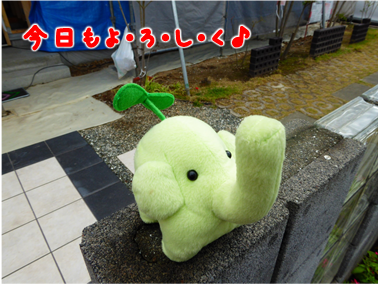 エコファント1