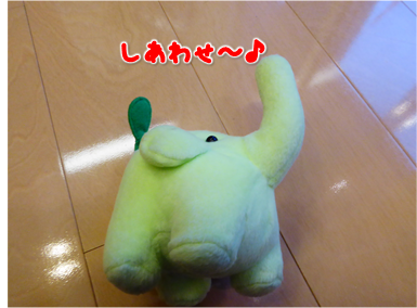 エコファント14