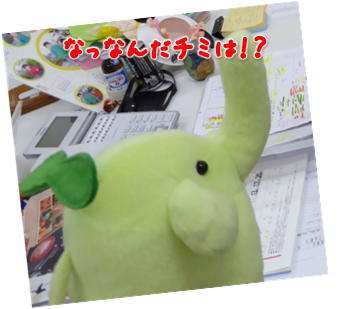 エコファント14