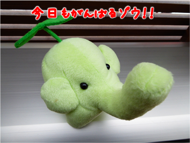 エコファント1