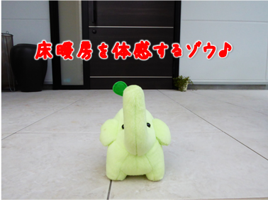 エコファント1