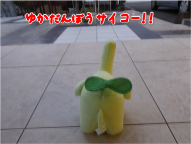 エコファント17
