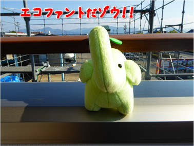 エコファント1