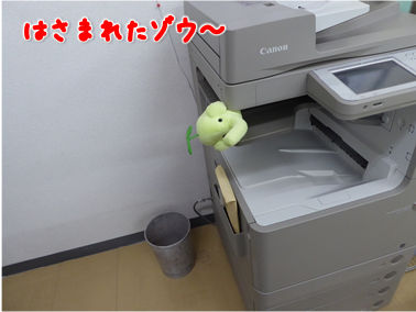 エコファント18