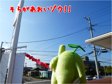 エコファント2