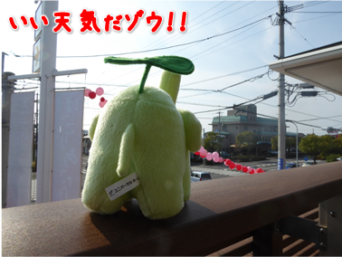 エコファント2