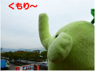 エコファント2