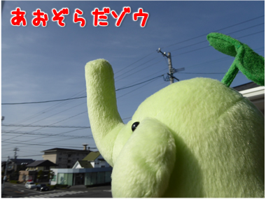 エコファント2