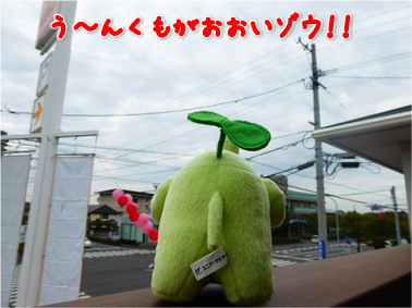 エコファント2