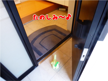 エコファント2