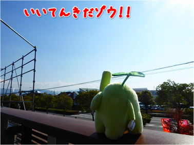 エコファント2