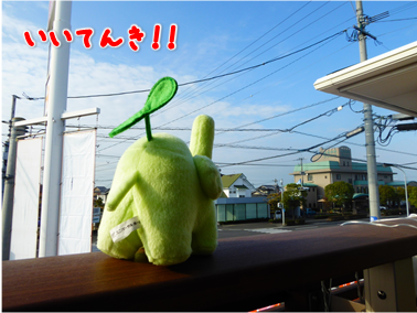 エコファント2