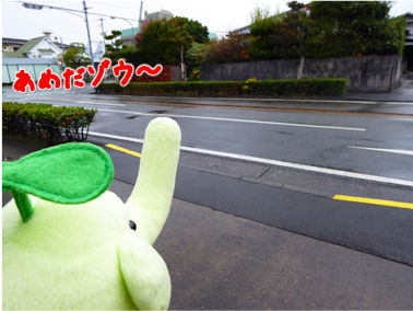 エコファント3