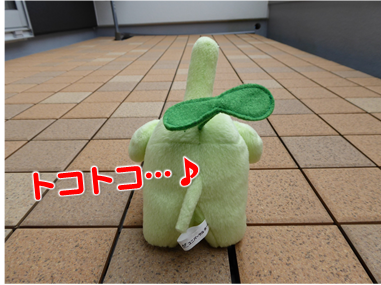 エコファント3