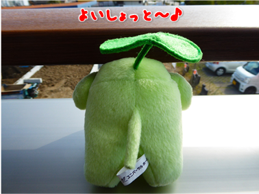 エコファント3